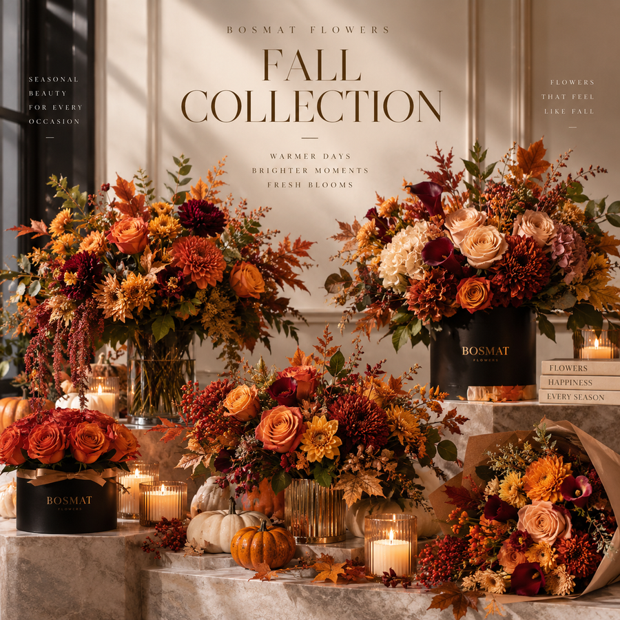 Fall Collection 🍂