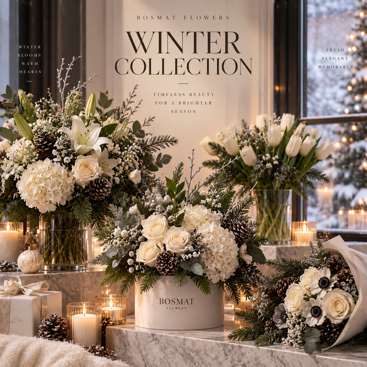 Winter Collection