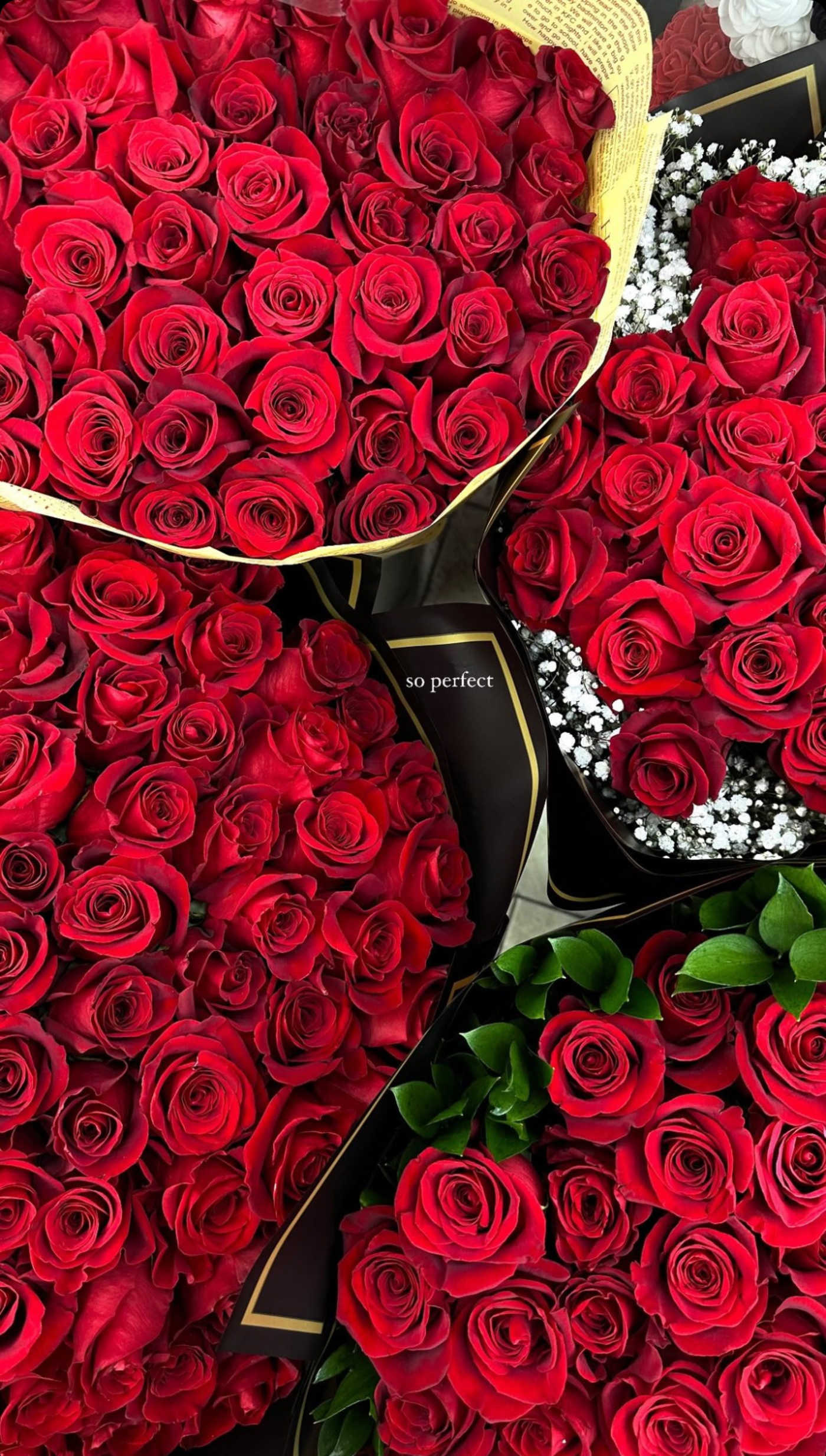 100 Red Roses